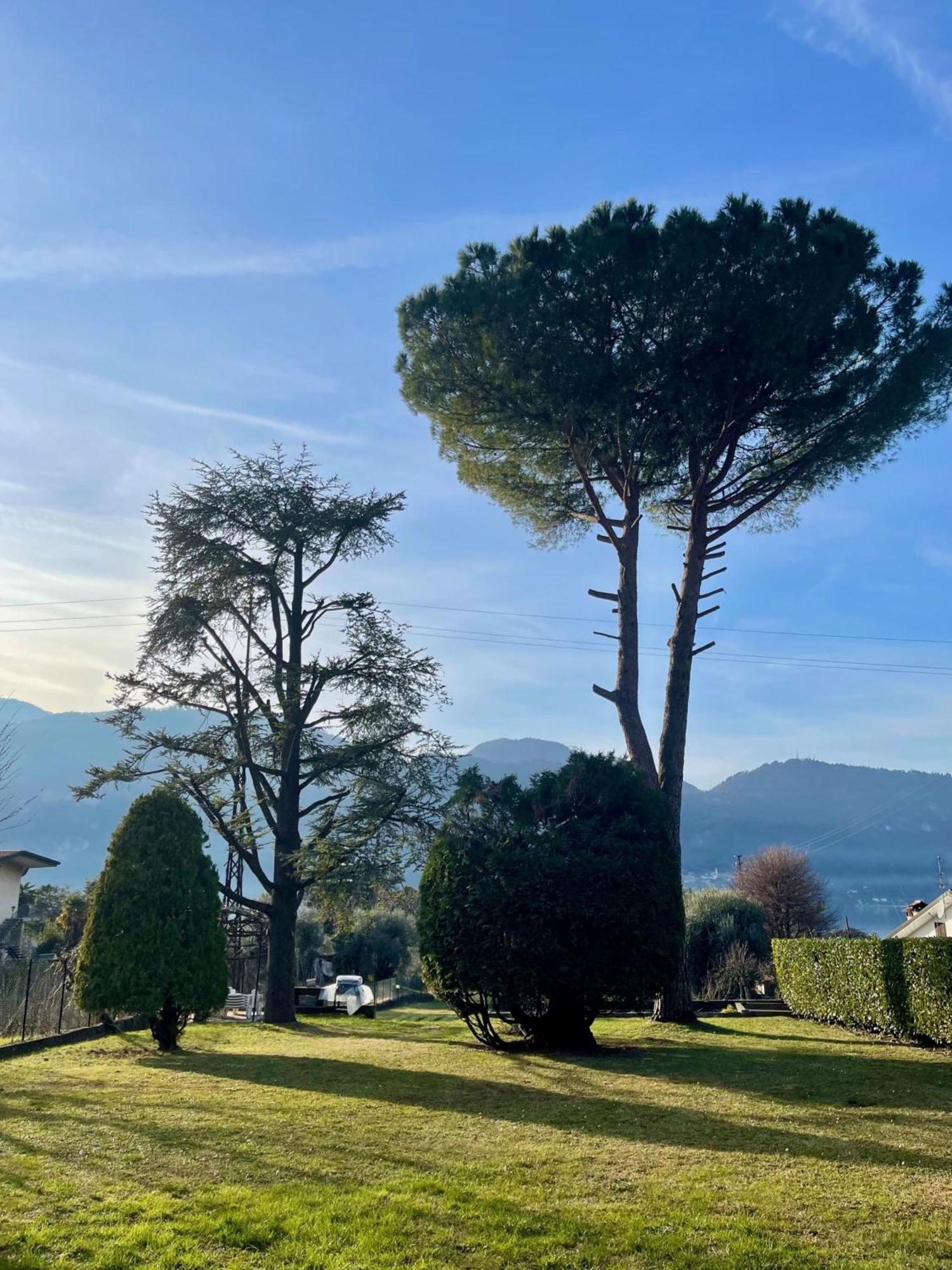 Villa Rosi Lierna Zewnętrze zdjęcie