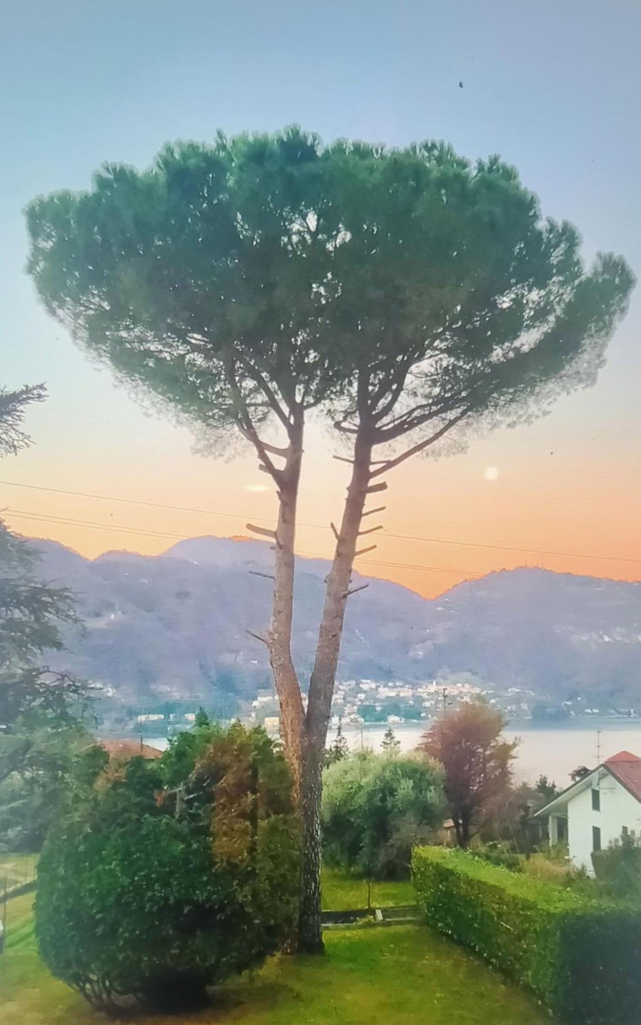 Villa Rosi Lierna Zewnętrze zdjęcie